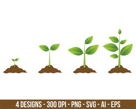 big plant clipart|plants growing clip art.